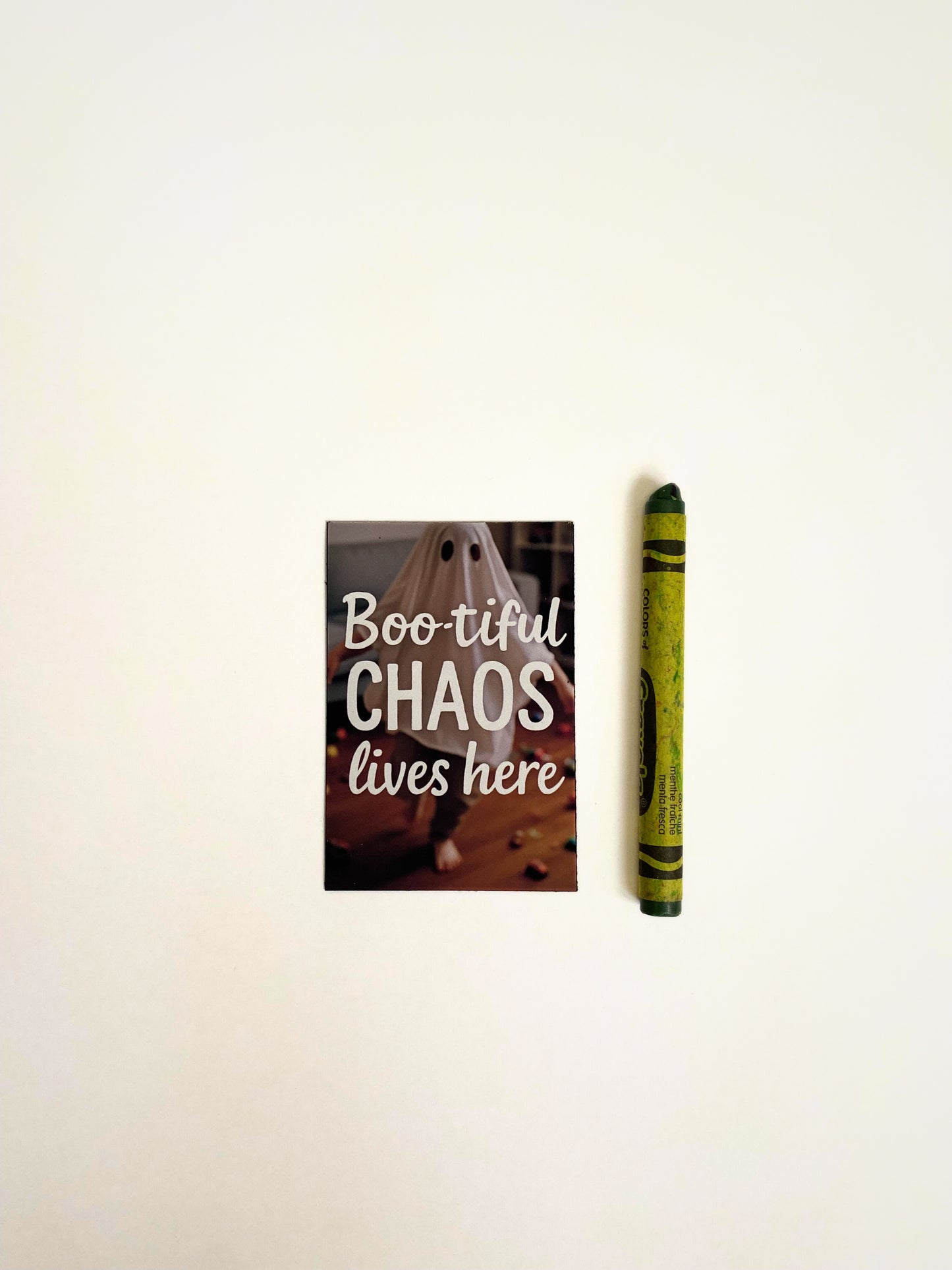 Fall Vibes Magnet Collection (Set of 7)