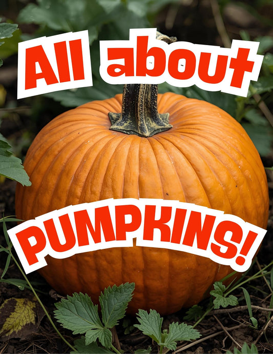 All About Pumpkins | Fall Printable Activities for Kids